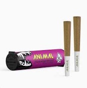Animal - NYC Diesel - Infused Preroll - 1G