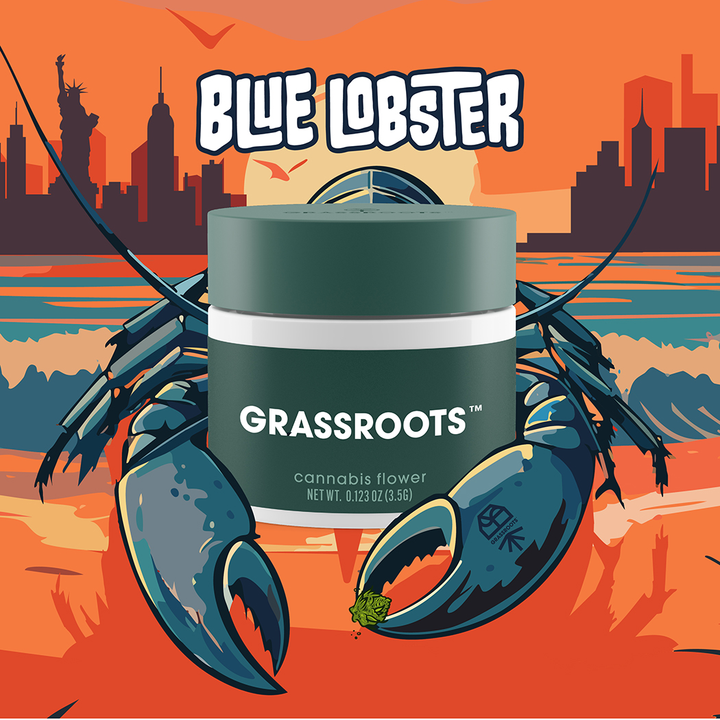 Blue Lobster 3.5g - Flower