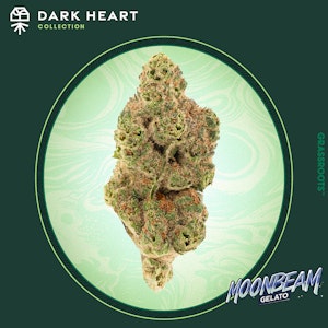 GRASSROOTS (NM) - GrassRoots | MoonBeam Gelato | 7G Hybrid