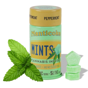 Nanticoke | Edible | Tablet - Peppermint | 100mg, 20