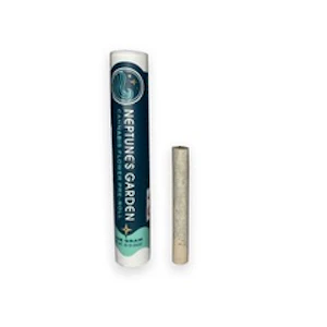 Neptunes Garden LLC - [REC] Neptunes Garden | Nightmare Runtz | 1g Pre Roll