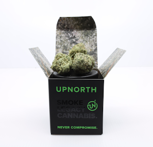 UpNorth - Platinum Afghani (I) 41.97% THC | UpNorth | 3.5g