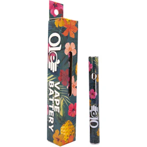 FARMS ACCESSORIES - 510 Battery - Ole' 4 Fingers