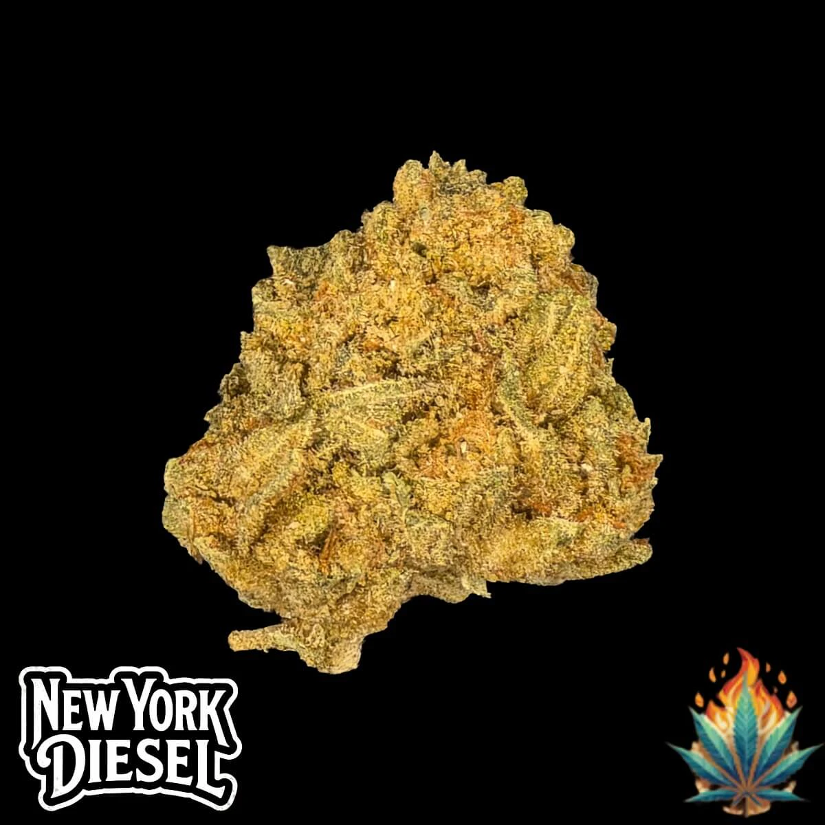Tribal Nation Flower Company - Native Fire 3.5g- New York Diesel Main Image