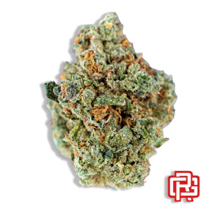 KMB FARMS - Nigerian Amnesia Flower