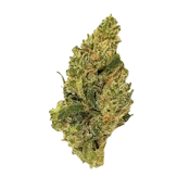 MG Nighthawk | 3.5g