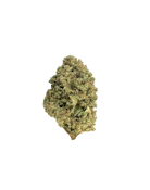 Nimbus Snacks - 14g (S) - Coastal Sun