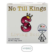 No Till Kings - Gelato 41 - Flower - 3.5g