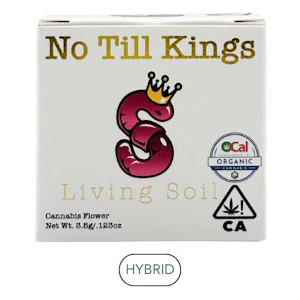 No Till Kings - No Till Kings - Gelato 41 - Flower - 3.5g