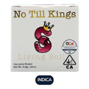 No Till Kings - SFV X Animal Mints - Flower - 3.5g