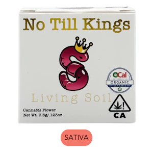 No Till Kings - No Till Kings - Mimosa - Flower - 3.5g
