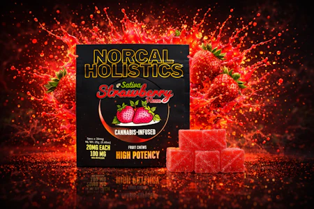 NORCAL HOLISTICS - NorCal Infused Gummies - Sativa Strawberry 100mg