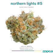 MOCA Flowers - 1/8th Mylar Bag - Northern Lights #5