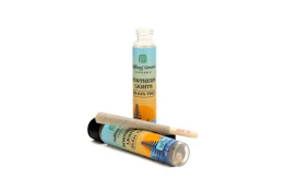 Northern Lights | Pre-roll | 1g | Rolling Green