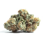 Notorious THC | Pre-Roll | .75g