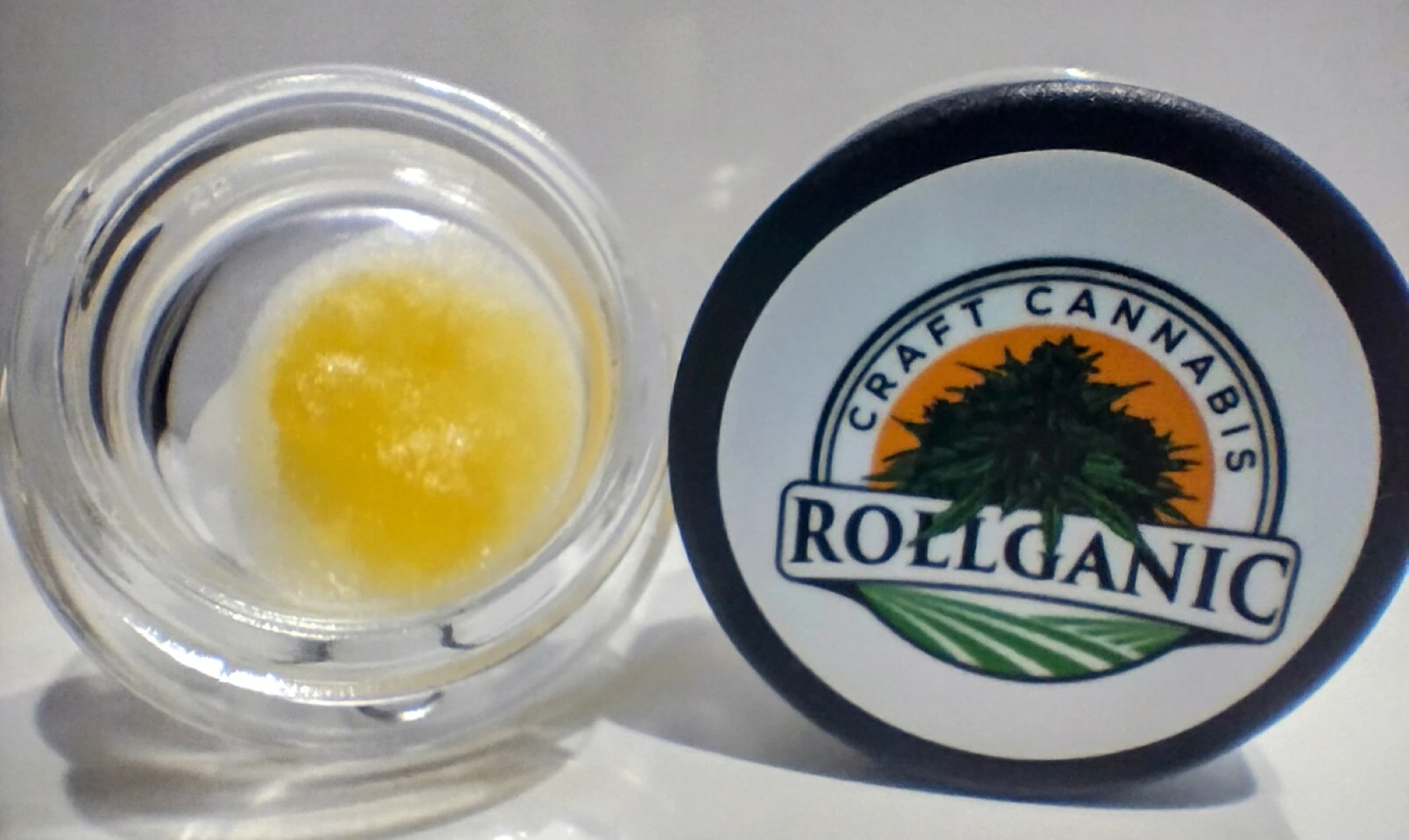 ROLLGANIC - Now & Later 1 Gram Live Resin Main Image