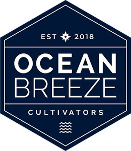 Ocean Breeze - Shoemaker - 1g Vape Cart - Ocean Breeze