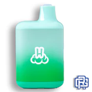 OG Mint Flavored "Cloud Bar" All-in-One Vape | 1g (Distillate)