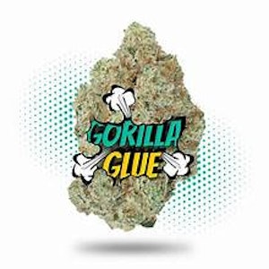 Julia - Julia - Gorilla Glue - 3.5g