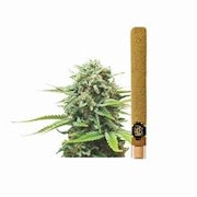 Lil Leftys - Infused Blunt - Monster Cookies - 2g