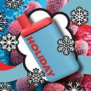 Holiday - Staycation - 1g AIO