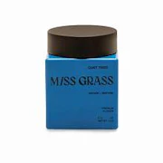Miss Grass - Lady Madonna - 3.5g