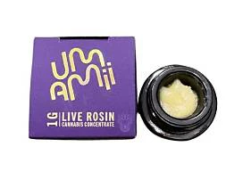 Umamii - Umamii - GMO - 1g Live Rosin Main Image