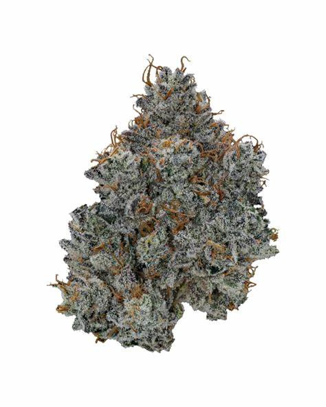 Rugged Roots - Rugged Roots | Permanent Marker | 3.5G Main Image