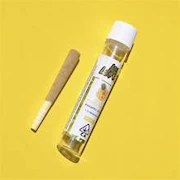 Lil Leftys - Pineapple Splash - 1g Infused Preroll