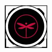 Dragonfly - Pineapple - 100mg Gummies