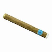Anthem - Blue Dream - BOLD - 1g Glass Tip Infused Preroll