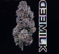 Milkweed - Candy Funk - 3.5g