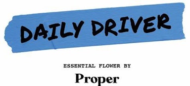 DAILY DRIVER - HOLLYWOOD HAIRBAND 3.5 GRAMS