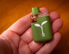 Raw Garden - Disposable - Sprout - Orange Runtz - 1g