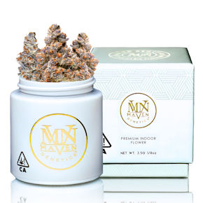 Maven Genetics | Indoor | Orange Sapphire | 3.5g