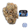 Oreo Blizzard Flower | Quarter Special
