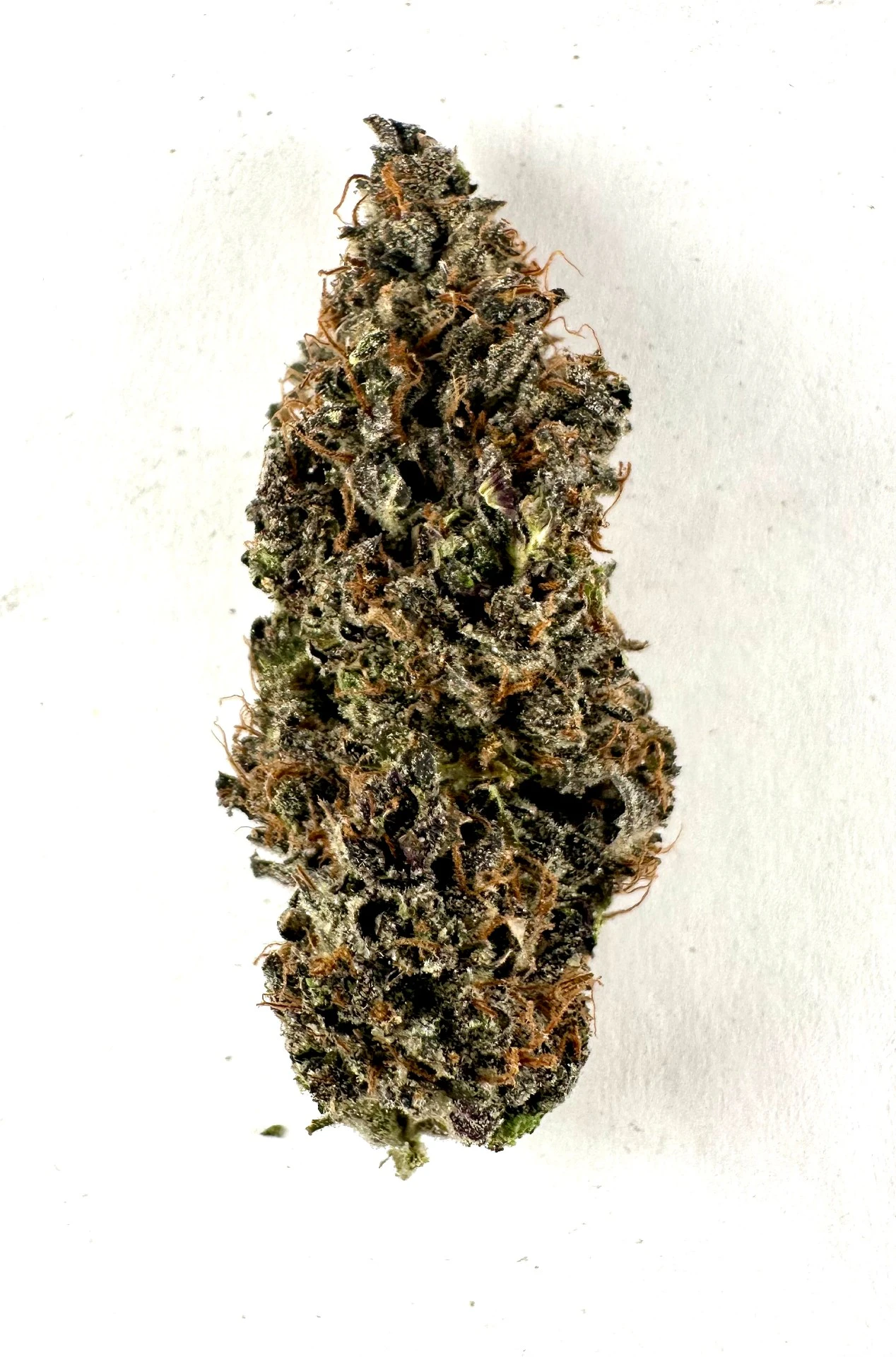 Deep Sky Cannabis LLC - DSC - Oreoz Main Image
