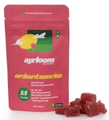 Ayrloom | Edible | Orchard Sunrise 1:1 | 10-pack | 50mg