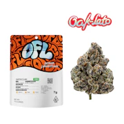 OAKFRUITLAND: Oak-Lato 7g - Indoor Flower (H)