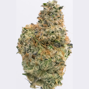 Northern Star - Obsidian Indoor Flower 3.5g