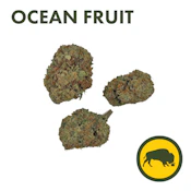 Bison Botanics - Ocean Fruit - Flower - 3.5g