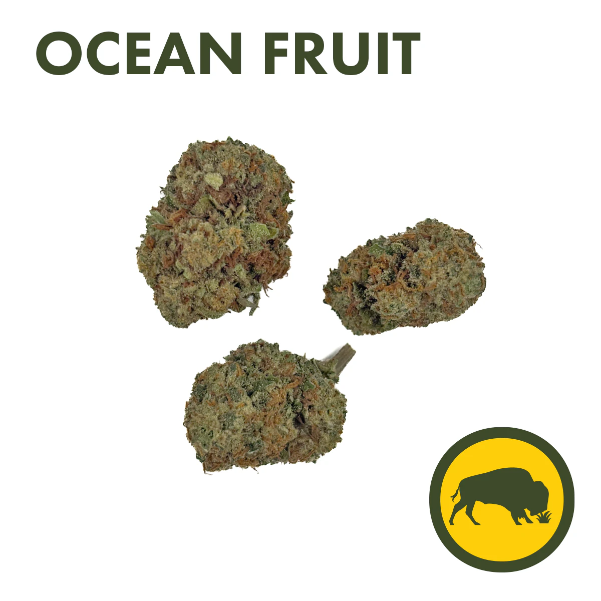 Bison Botanics - Bison Botanics - Ocean Fruit - Flower - 3.5g Main Image