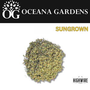 OCEANA GARDENS - Apple Pie Shake 20.68g