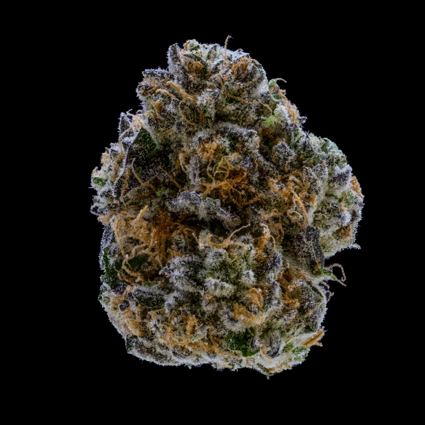 JAR Cannabis Co. - Flower | Oishii Main Image