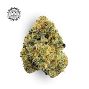 One Eyed Willy Bulk Flower - EFF! (FIRE ISLAND)