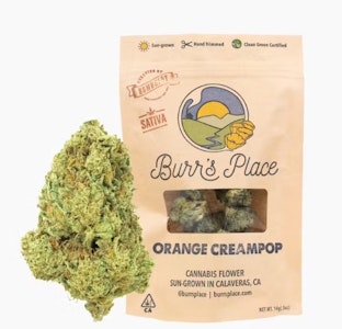 BURR'S PLACE - Burr's Place Orange Creampop 1/2 PD 30%