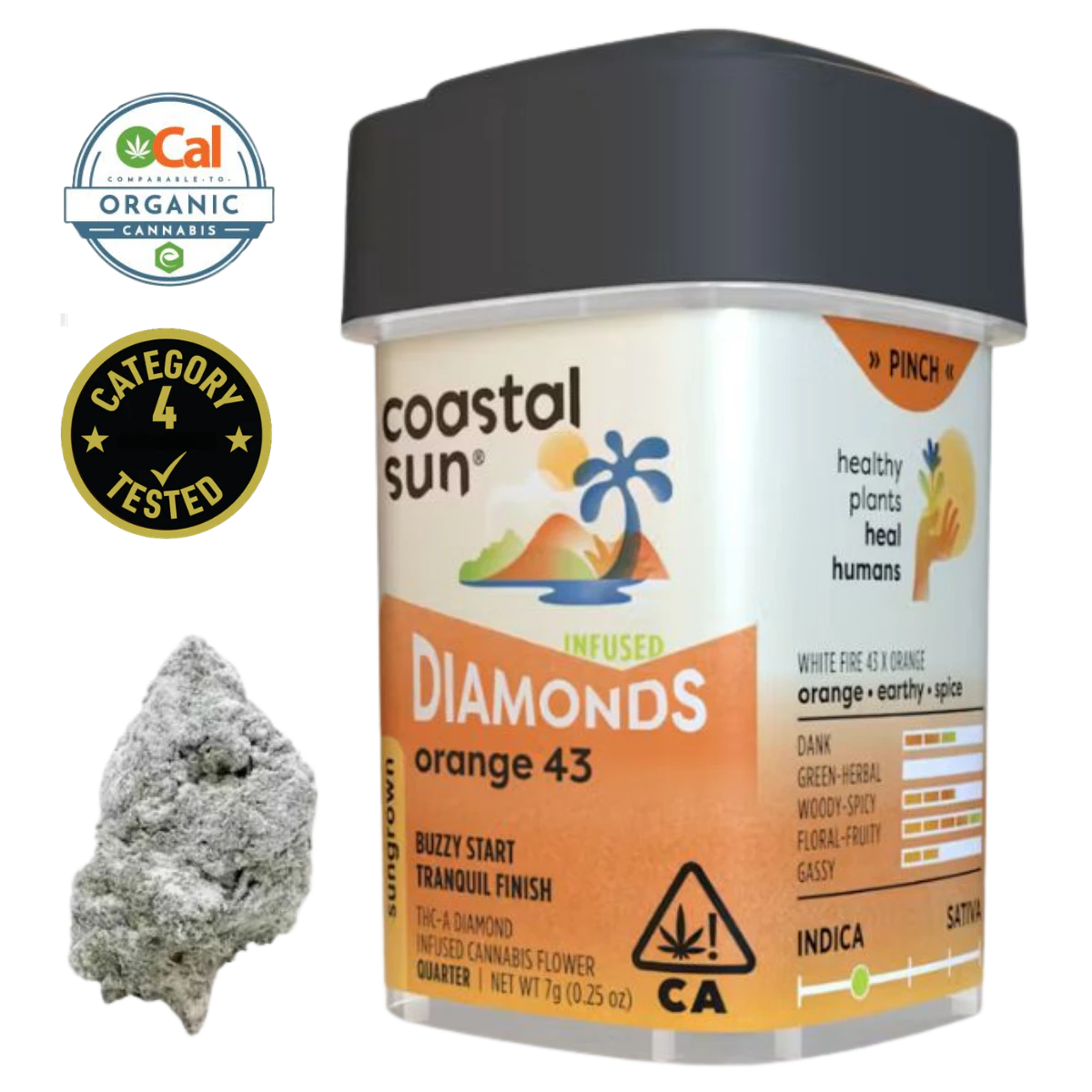 Coastal Sun - Orange 43 (I) | 7g Diamond Infused Sun Grown Flower | Coastal Sun Main Image