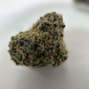 Orange Bang
