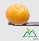 Orange Chemeleon Live Rosin Badder - 1g - BSR
