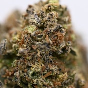 Orange Gummy Cream Bar